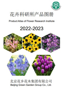 免费制作翻页电子书、电子画册和电子杂志的高效工具推荐