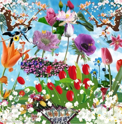 高清鲜花花朵花卉图片素材 自然之美的视觉盛宴