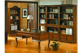 成都伊恋 定制书柜与整体家具的网络技术开发融合